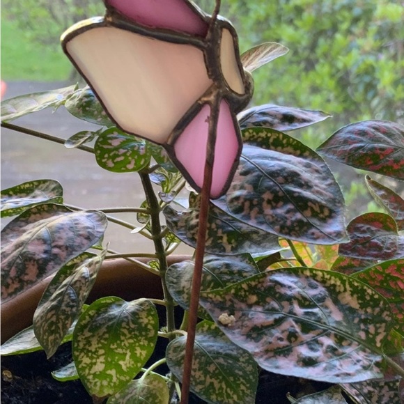 Butterfly, Plant companion, give your plant a buddy Handcrafted Stained-glass - Picture 3 of 4